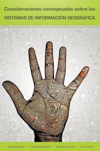 Produktbild: Consideraciones Conceptuales Sobre Los Sistemas de Informacion Geografica
