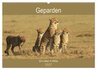 Produktbild: Geparden - Ein Leben in Afrika (Wandkalender 2027 DIN A2 quer), CALVENDO Monatskalender