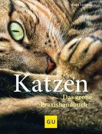 Produktbild: Praxishandbuch Katzen