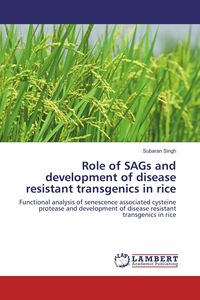 Produktbild: Role of SAGs and development of disease resistant transgenics in rice