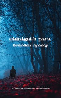 Produktbild: Midnight's Park (Callie Simmons, #1)