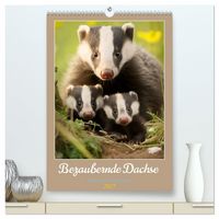 Produktbild: Bezaubernde Dachse (hochwertiger Premium Wandkalender 2027 DIN A2 hoch), Kunstdruck in Hochglanz