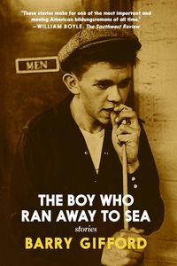 Produktbild: The Boy Who Ran Away to Sea