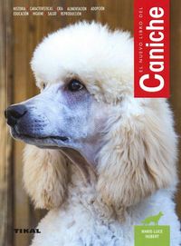 Produktbild: El caniche