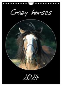 Bild vom Artikel Crazy horses (Wandkalender 2024 DIN A4 hoch), CALVENDO Monatskalender vom Autor Claudia Lampert