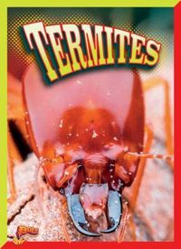 Produktbild: Termites