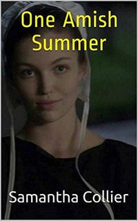 Produktbild: One Amish Summer