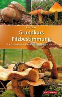 Produktbild: Grundkurs Pilzbestimmung