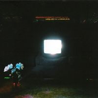 Bild vom Artikel DOES IT LOOK LIKE IM HERE? (Ltd. Ectoplasm Vinyl) vom Autor Emeralds