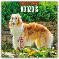Produktbild: Borzois &ndash; Barsoi &ndash; Barzaia &ndash; Russischer Wolfshund 2027 &ndash; 16-Monatskalender