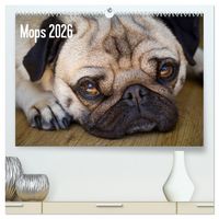 Produktbild: Mops 2026 (hochwertiger Premium Wandkalender 2026 DIN A2 quer), Kunstdruck in Hochglanz