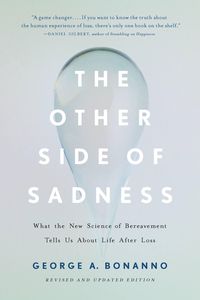 Bild vom Artikel The Other Side of Sadness vom Autor George A. Bonanno