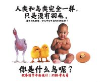 Produktbild: 人类和鸟类完全一样，只是没有羽毛。