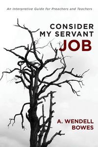 Produktbild: Consider My Servant Job
