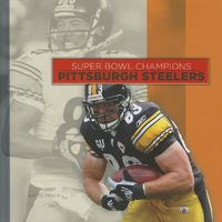 Produktbild: Pittsburgh Steelers