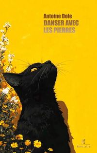 Produktbild: Danser avec les pierres