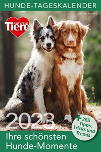 Bild vom Artikel Hunde Tageskalender 2023 vom Autor 