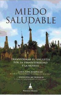 Produktbild: Miedo saludable : transformar tu angustia por la transitoriedad y la muerte