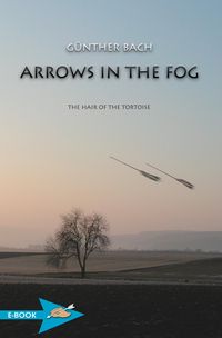 Produktbild: Arrows In The Fog