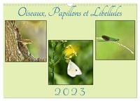 Produktbild: Oiseaux, Papillons et Libellules (Calendrier mural 2027 DIN A3 vertical), CALVENDO calendrier mensuel