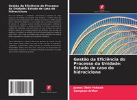 Produktbild: Gest&atilde;o da Efici&ecirc;ncia do Processo da Unidade: Estudo de caso do hidrociclone