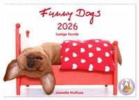 Produktbild: Funny Dogs (Wandkalender 2026 DIN A2 quer), CALVENDO Monatskalender
