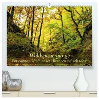 Produktbild: Waldspazierg&auml;nge: Entspannen - Kraft tanken - Besinnen auf sich selbst (hochwertiger Premium Wandkalender 2027 DIN A2 quer), Kunstdruck in Hochglanz