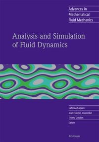 Produktbild: Analysis and Simulation of Fluid Dynamics