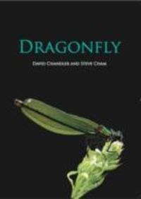 Produktbild: Chandler, D: Dragonfly