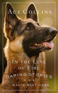 Produktbild: In The Line Of Fire