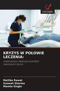 Produktbild: Kryzys W Po&iquest;owie Leczenia: