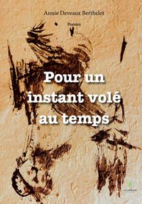 Produktbild: Pour un instant vol&eacute; au temps