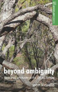 Produktbild: Beyond ambiguity