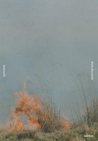 Produktbild: Rinko Kawauchi