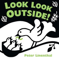 Produktbild: Look Look Outside!