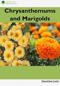 Produktbild: Chrysanthemum and Marigold