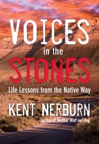 Produktbild: Voices in the Stones