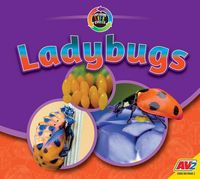 Produktbild: Ladybugs