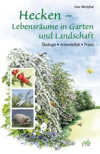 Produktbild: Hecken - Lebensr&auml;ume in Garten und Landschaft