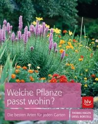 Produktbild: Welche Pflanze passt wohin?
