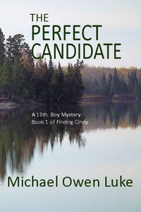 Produktbild: The Perfect Candidate