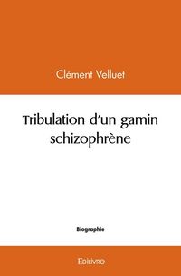 Produktbild: Tribulation d un gamin schizophrene