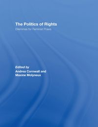 Produktbild: The Politics of Rights