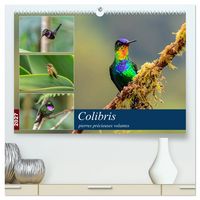 Produktbild: Colibris - pierres pr&eacute;cieuses volantes (Calendrier mural haut de gamme 2027 DIN A2 vertical), CALVENDO calendrier mensuel