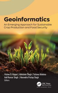 Produktbild: Geoinformatics