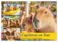 Produktbild: Capybaras on Tour. Wasserschweine als Weltenbummler (Wandkalender 2027 DIN A4 quer), CALVENDO Monatskalender