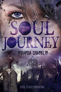 Produktbild: Soul Journey (Soul Series, #1)