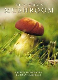 Produktbild: Glorious Mushroom