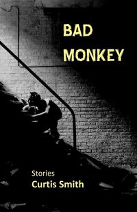 Produktbild: Bad Monkey