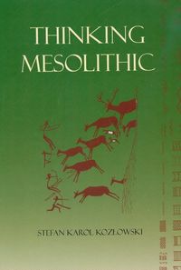 Produktbild: Thinking Mesolithic
